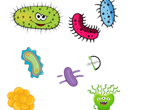 Bakterien, Viren, Pilze und Protozoen